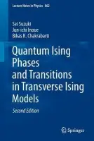 Quantum Ising Phases and Transitions in Transverse Ising Models - Sei Suzuki, Jun-ichi Inoue a kol.