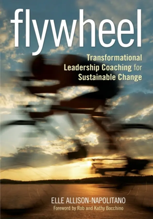 Flywheel - Allison-Napolitano, Eileen T.
