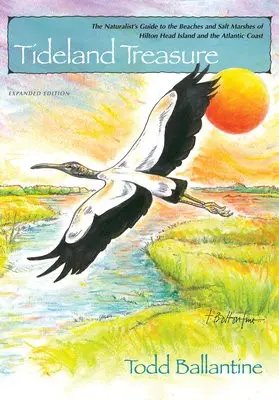 Tideland Treasure - Ballantine, Todd
