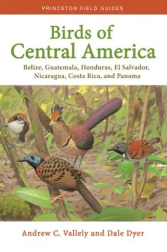 Birds of Central America - Vallely, Andrew a Dyer, Dale