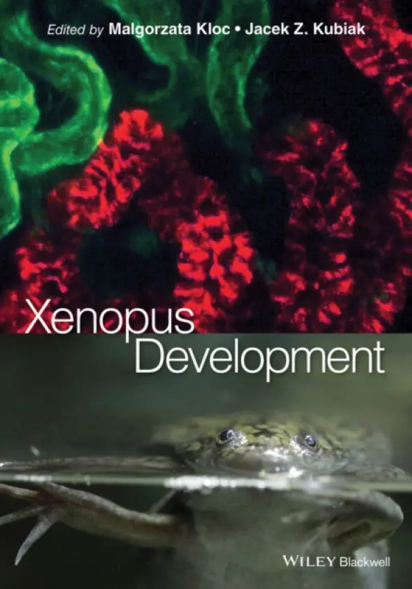 Xenopus Development - Kloc, Malgorzata a Kubiak, Jacek Z.