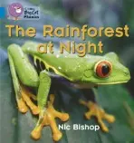 Rainforest at Night - Bishop, Nic