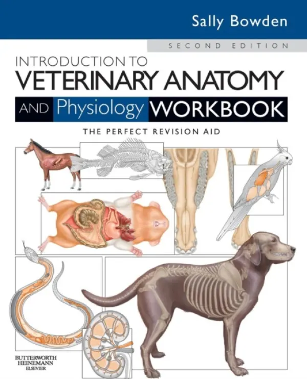 Introduction to Veterinary Anatomy and Physiology Workbook - Bowden, Sally J., VN (Lecturer in Veterinary Nursing and Animal Science)