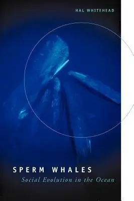 Sperm Whales - Whitehead, Hal