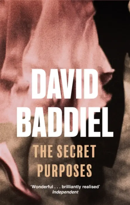 The Secret Purposes - David Baddiel