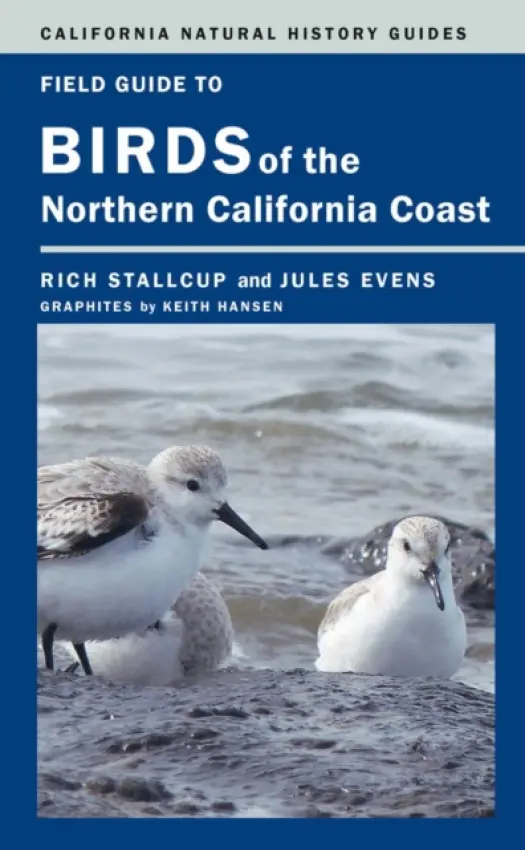 Field Guide to Birds of the Northern California Coast - Stallcup, Rich a Evens, Jules