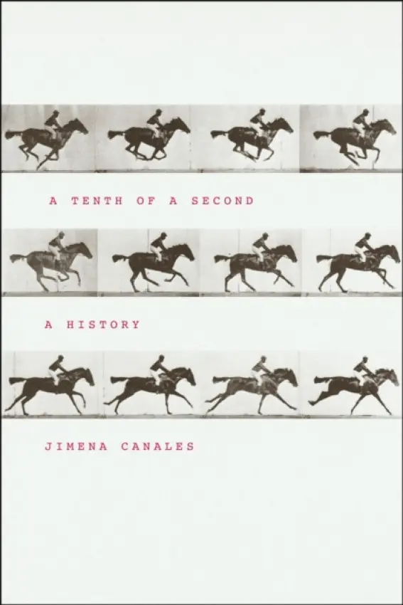 Tenth of a Second - Canales, Jimena