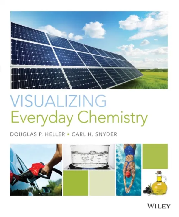 Visualizing Everyday Chemistry - Heller, Douglas P. (University of Miami) a Snyder, Carl H.