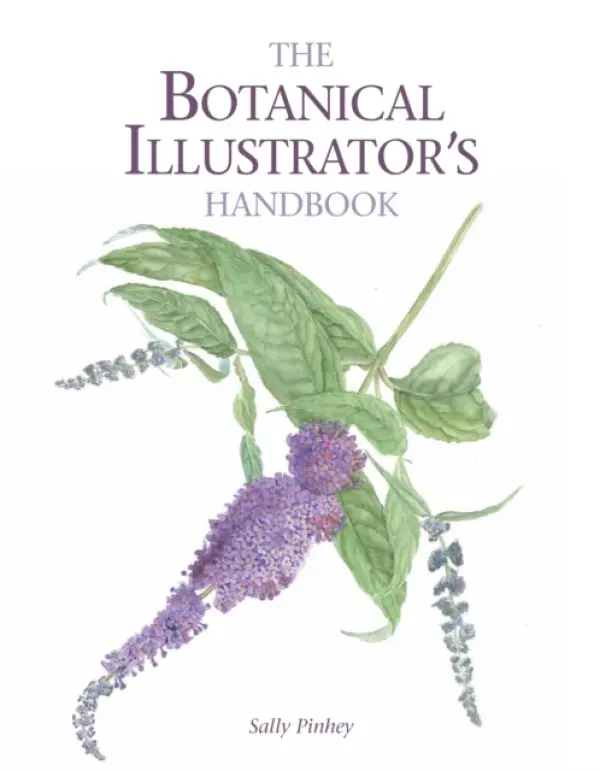 Botanical Illustrator's Handbook - Pinhey, Sally