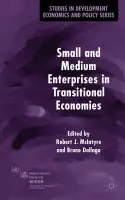 Small and Medium Enterprises in Transitional Economies