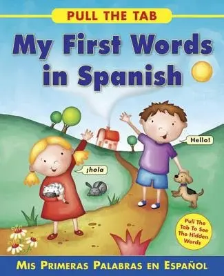 Pull the Tab: My First Words in Spanish - Delany Sally