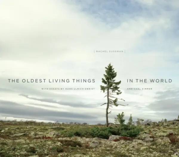 Oldest Living Things in the World - Sussman, Rachel