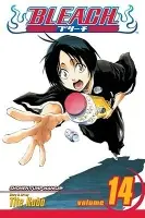 Bleach, Vol. 14 - Tite Kubo