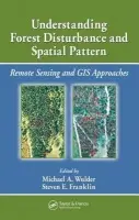 Understanding Forest Disturbance and Spatial Pattern