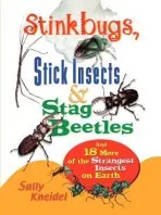 Stink Bugs, Stick Insects, and Stag Beetles - Kneidel, Sally (Charlotte, North Carolina)