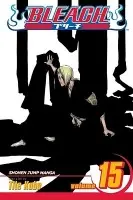Bleach 15 - Tite Kubo