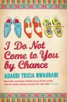 I Do Not Come to You by Chance - Nwaubani, Adaobi Tricia