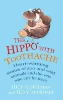 Hippo with Toothache - Spelman, Lucy H a Mashima, Ted Y
