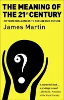 Meaning Of The 21st Century - Martin, James