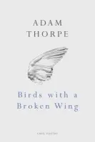 Birds With A Broken Wing - Thorpe, Adam