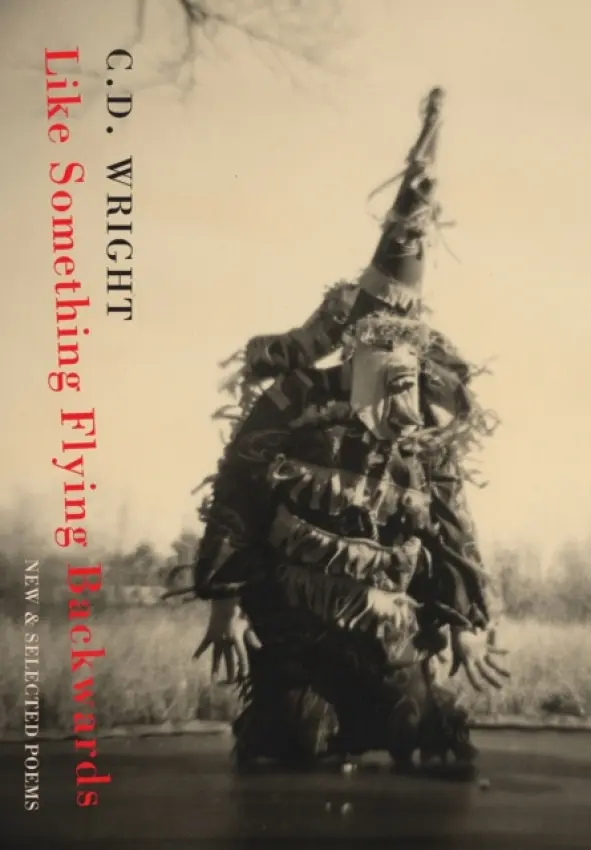 Like Something Flying Backwards - Wright, C. D.