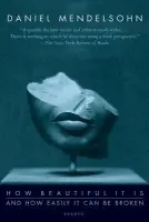 How Beautiful It Is And How Easily It Can Be Broken - Mendelsohn, Daniel