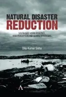 Natural Disaster Reduction - Kumar Sinha, Dilip