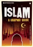 Introducing Islam - Ziauddin Sardar