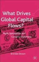What Drives Global Capital Flows? - Brown, B.
