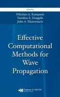 Effective Computational Methods for Wave Propagation