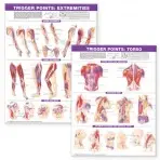 Trigger Point Chart Set: Torso & Extremities Paper