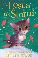 Lost in the Storm - Webb, Holly