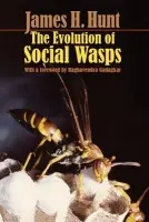 Evolution of Social Wasps - Hunt, James H. (Professor of Biology, Professor of Biology, University of Missouri, St. Louis)