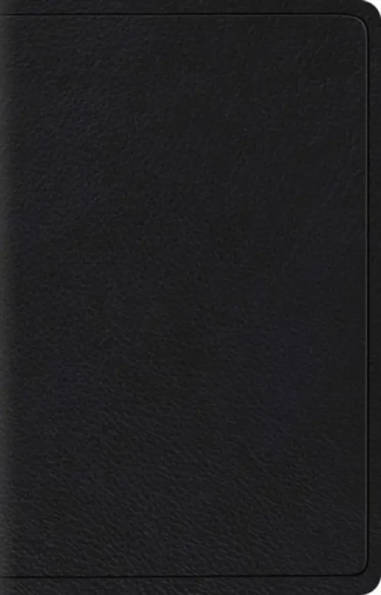 ESV Wide Margin Reference Bible, Red Letter