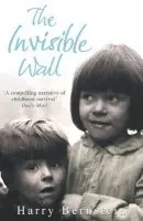 Invisible Wall - Bernstein, Harry