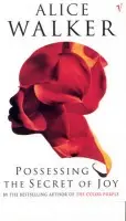 Possessing The Secret Of Joy - Walker, Alice