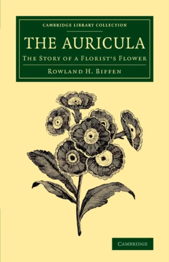 Auricula - Biffen, Rowland H.