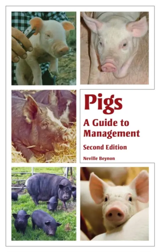 Pigs - Beynon, Neville