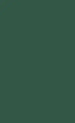 Political Participation of Asian Americans - Lien, Pei-te