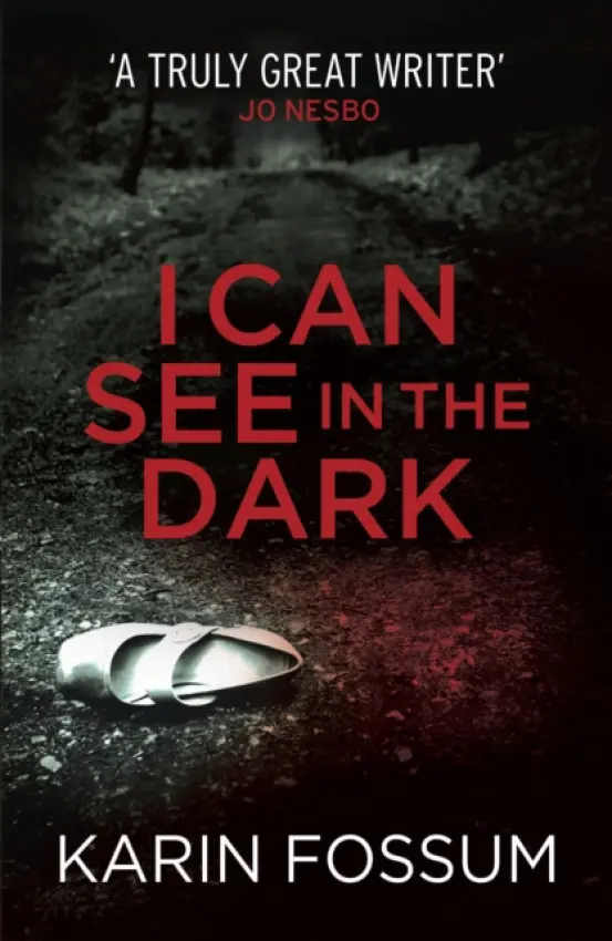 I Can See in the Dark - Fossum, Karin