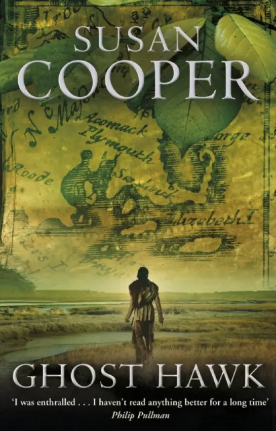 Ghost Hawk - Cooper, Susan