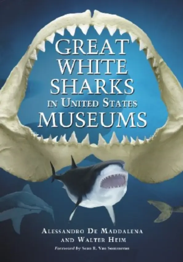 Great White Sharks in United States Museums - De Maddalena, Alessandro a Heim, Walter