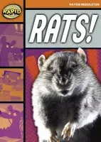Rapid Reading: Rats! (Stage 4, Level 4B) - Haydn Middleton