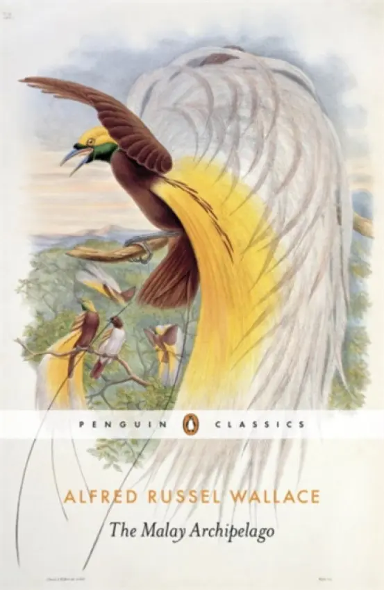 Malay Archipelago - Russel Wallace, Alfred
