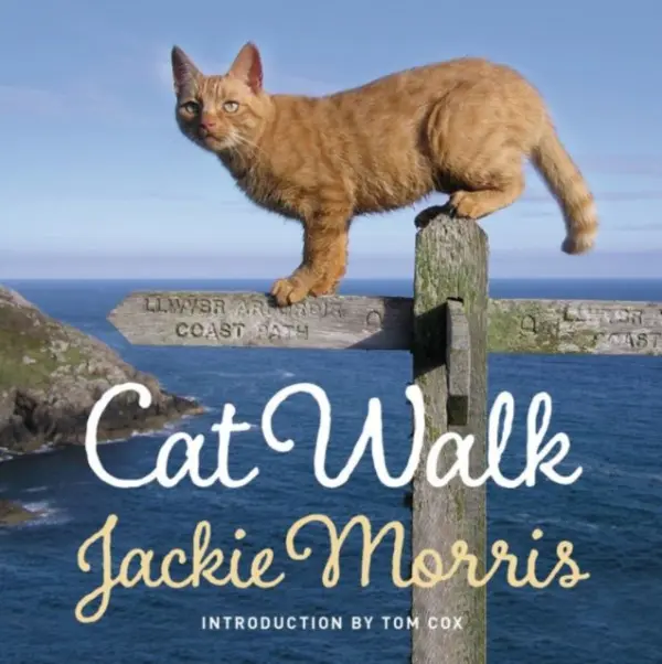 Cat Walk - Morris, Jackie