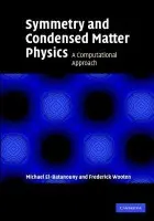 Symmetry and Condensed Matter Physics - El-Batanouny, M. (Boston University) a Wooten, F. (University of California, Davis)