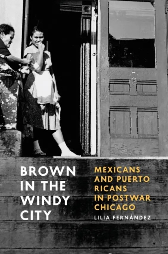 Brown in the Windy City - Fernandez, Lilia