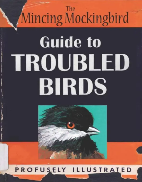 The Mincing Mockingbird Guide to Troubled Birds - The Mincing Mockingbird
