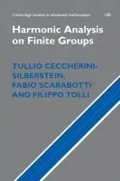 Harmonic Analysis on Finite Groups - Ceccherini-Silberstein, Tullio a Scarabotti, Fabio (Universita degli Studi di Roma 'La Sapienza', Italy) a Tolli, Filippo (Universita degli Studi Roma Tre)