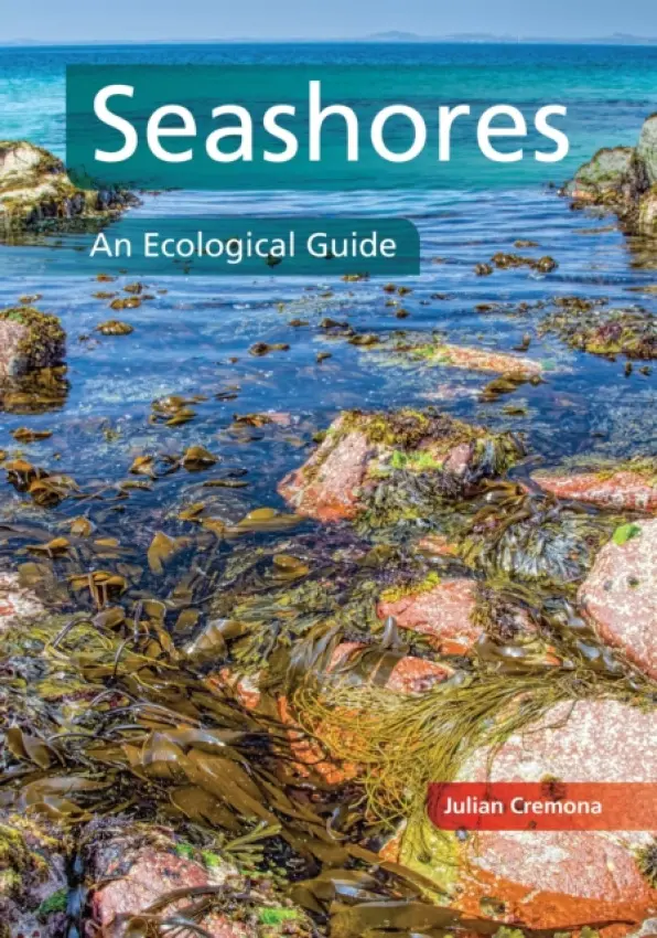 Seashores - Cremona, Julian